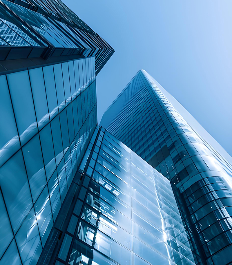 Business team collaboration